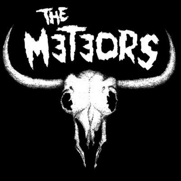 The Meteors (1980-2009)